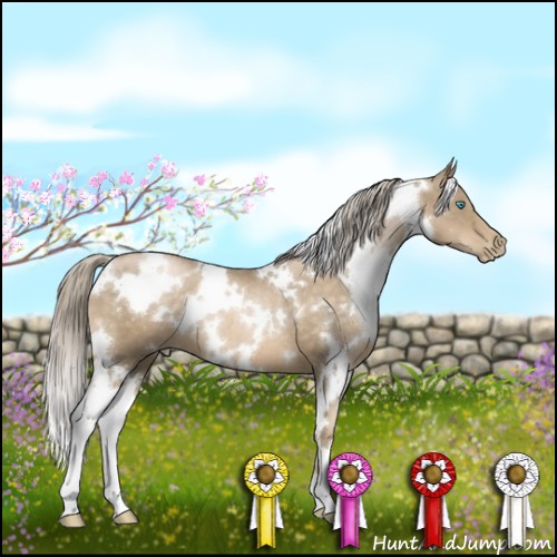 Horse Color:White Spotted Chocolate Palomino Pearl 