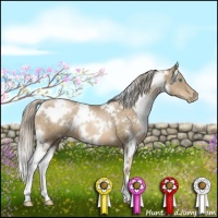 Horse Color:White Spotted Chocolate Palomino Pearl