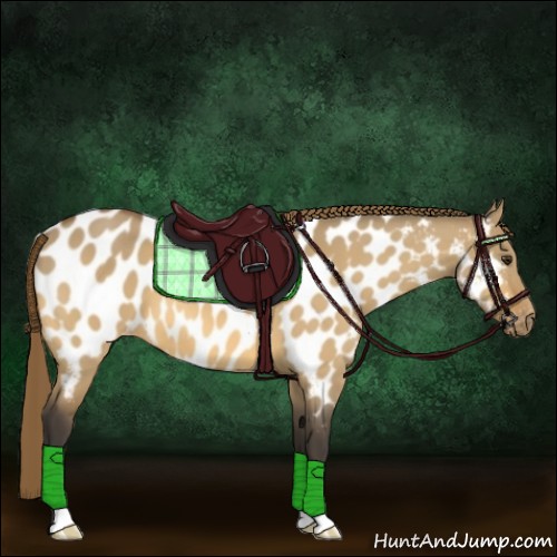 Horse Color:Buckskin Dun Near Leopard