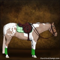 Horse Color:Red Roan Tobiano Appaloosa 