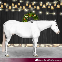 Horse Color:Red Dun Roan Appaloosa