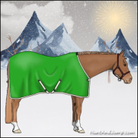 Horse Color:Chestnut Blanket