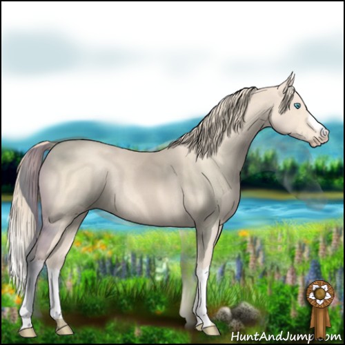 Horse Color:Perlino Rabicano 