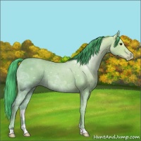 Horse Color:Watercolor Classic Champagne Ice Roan 