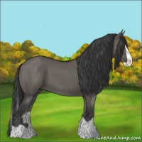 Horse Color:Grullo Splash 