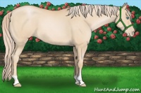 Horse Color:Palomino Pearl