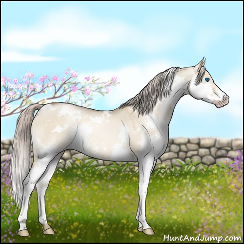 Horse Color:White Spotted Chocolate Palomino Pearl Dun Splash 