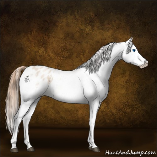 Horse Color:Liver Red Dun Pearl Sabino Splash Varnish