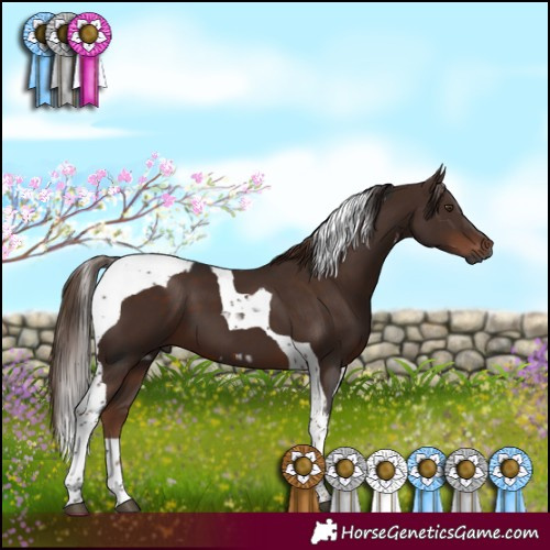 Horse Color:Gray White Spotted Liver Chestnut  and Liver Chestnut Tobiano 