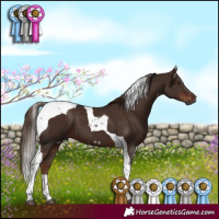Horse Color:Gray White Spotted Liver Chestnut and Liver Chestnut Tobiano