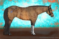 Horse Color:Bay  and Buckskin 