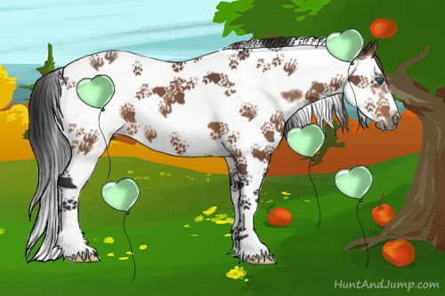 Horse Color:Bay Splash Tobiano Frame 