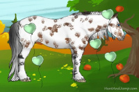 Horse Color:Bay Splash Tobiano Frame 