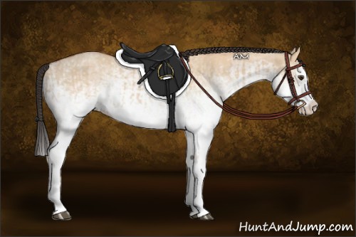 Horse Color:White Spotted Bay Dun Splash  and White Spotted Bay Dun Splash 