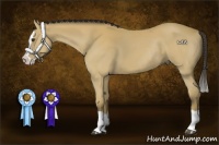 Horse Color:Buckskin Splash Rabicano