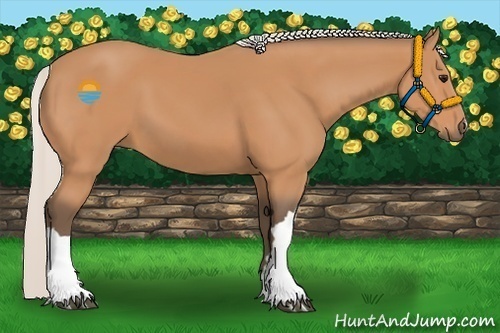 Horse Color:Silver Bay 