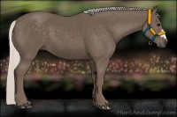 Horse Color:Silver Black 