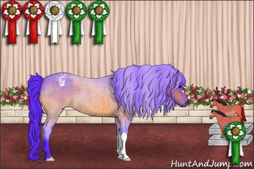 Horse Color:Gray Watercolor Bay Roan Appaloosa