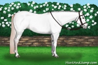 Horse Color:Gray Chestnut Ice Tobiano 