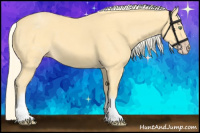 Horse Color:White Spotted Gold Cream Champagne