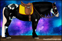 Horse Color:White Spotted Gold Champagne Sabino Appaloosa Rabicano