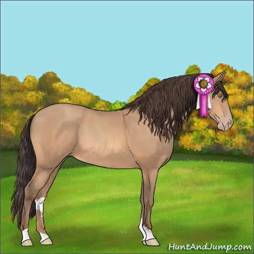 Horse Color:Amber Champagne Rabicano 
