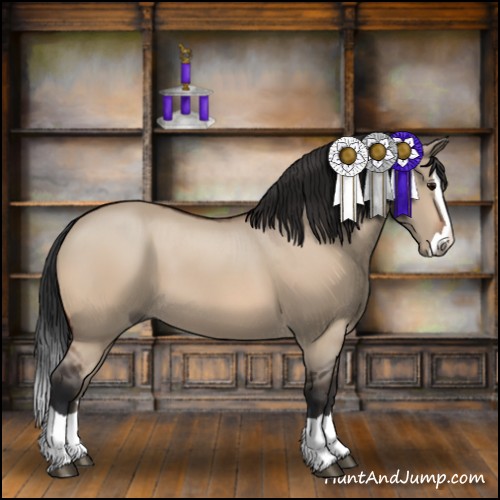 Horse Color:Bay Dun Splash 