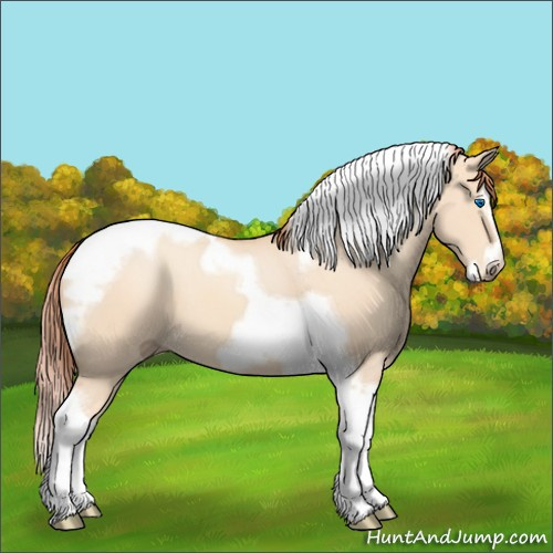 Horse Color:Gray Perlino Dun Splash Tobiano Frame 