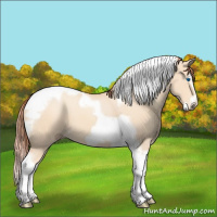 Horse Color:Gray Perlino Dun Splash Tobiano Frame 