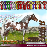 Horse Color:White Spotted Liver Chestnut Mushroom Rabicano