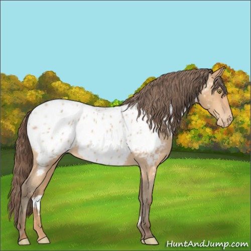 Horse Color:Amber Champagne Near Leopard