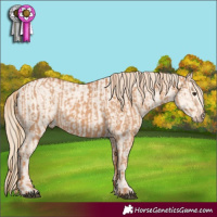 Horse Color:Chestnut and Perlino Dun