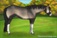 Horse Color:Gray Blue Onyx 
