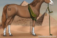 Horse Color:Chestnut Splash 