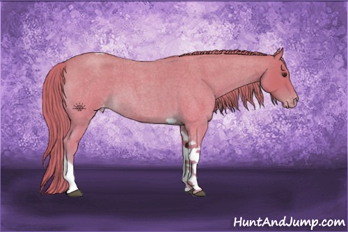 Horse Color:Watercolor Red Roan Tobiano Varnish