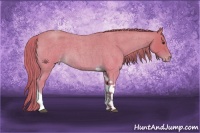Horse Color:Watercolor Red Roan Tobiano Varnish 