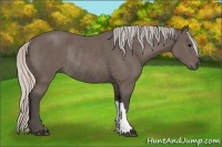 Horse Color:Silver Black Rabicano