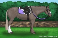 Horse Color:Silver Black 