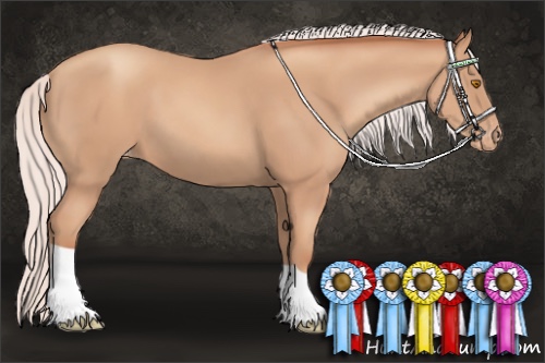 Horse Color:Silver Classic Champagne Varnish