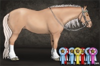Horse Color:Silver Classic Champagne Varnish 