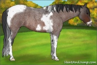 Horse Color:Bay Roan Tobiano Frame