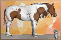 Horse Color:Gray Chestnut Tobiano 