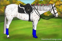 Horse Color:Bay Splash Tobiano Appaloosa  and White Spotted Bay Splash Tobiano Appaloosa 
