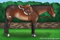 Horse Color:Brown 