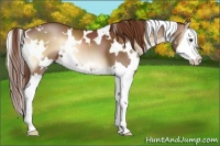 Horse Color:White Spotted Red Onyx Splash