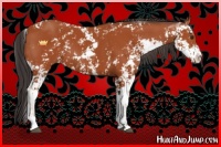 Horse Color:Bay Sabino 