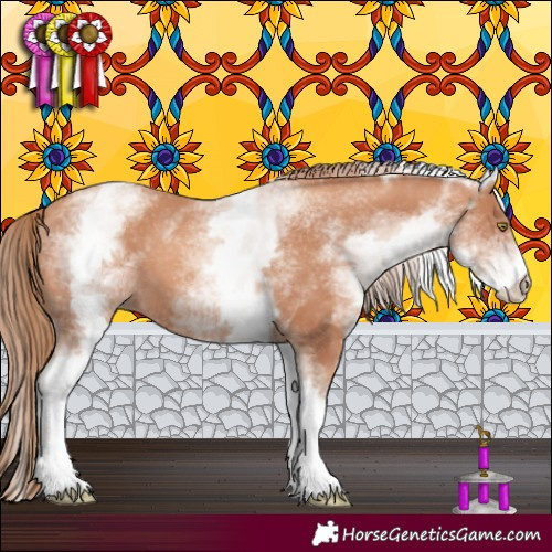 Horse Color:White Spotted Gold Champagne 