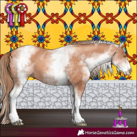 Horse Color:White Spotted Gold Champagne 