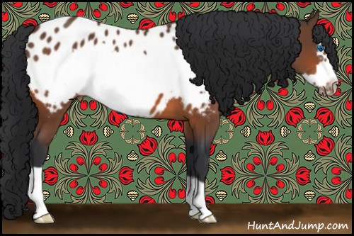 Horse Color:Bay Frame Appaloosa 