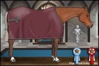 Horse Color:Silver Bay Roan 